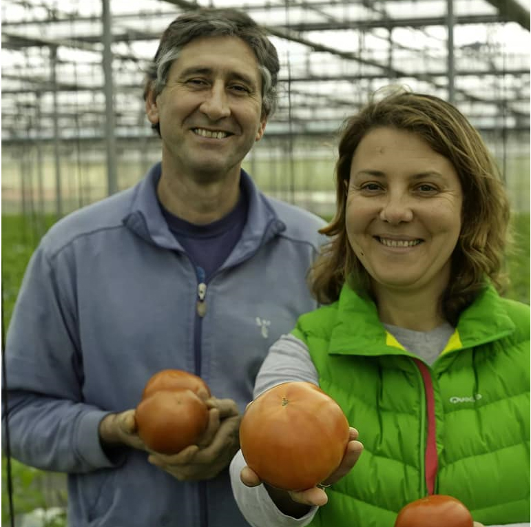HARVEST : Recherche sur la réduction de la consommation énergétique dans les systèmes industriels de culture de légumes destinés à la quatrième gamme